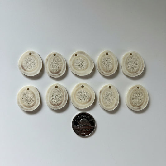 10 deer antler slices on a gray background