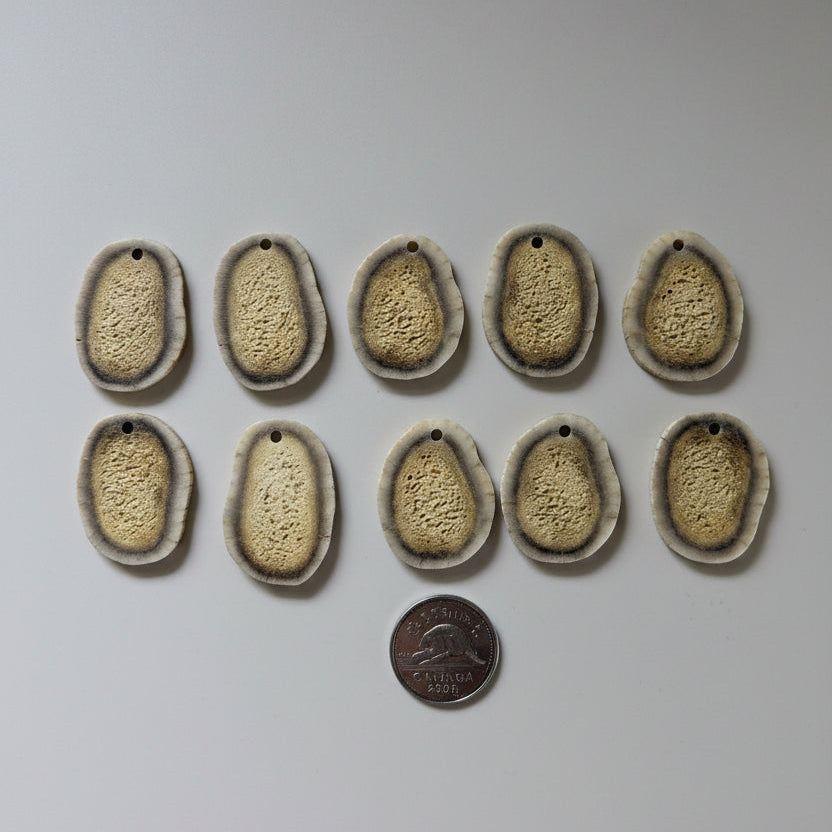 10 deer antler slices on a gray background