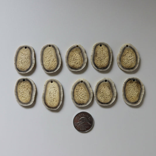 10 deer antler slices on a gray background