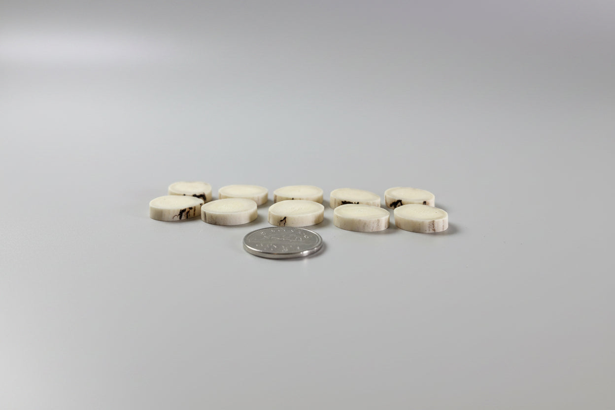 Craft Antler Slices Package Whole Small - Natural Shed Deer Antler