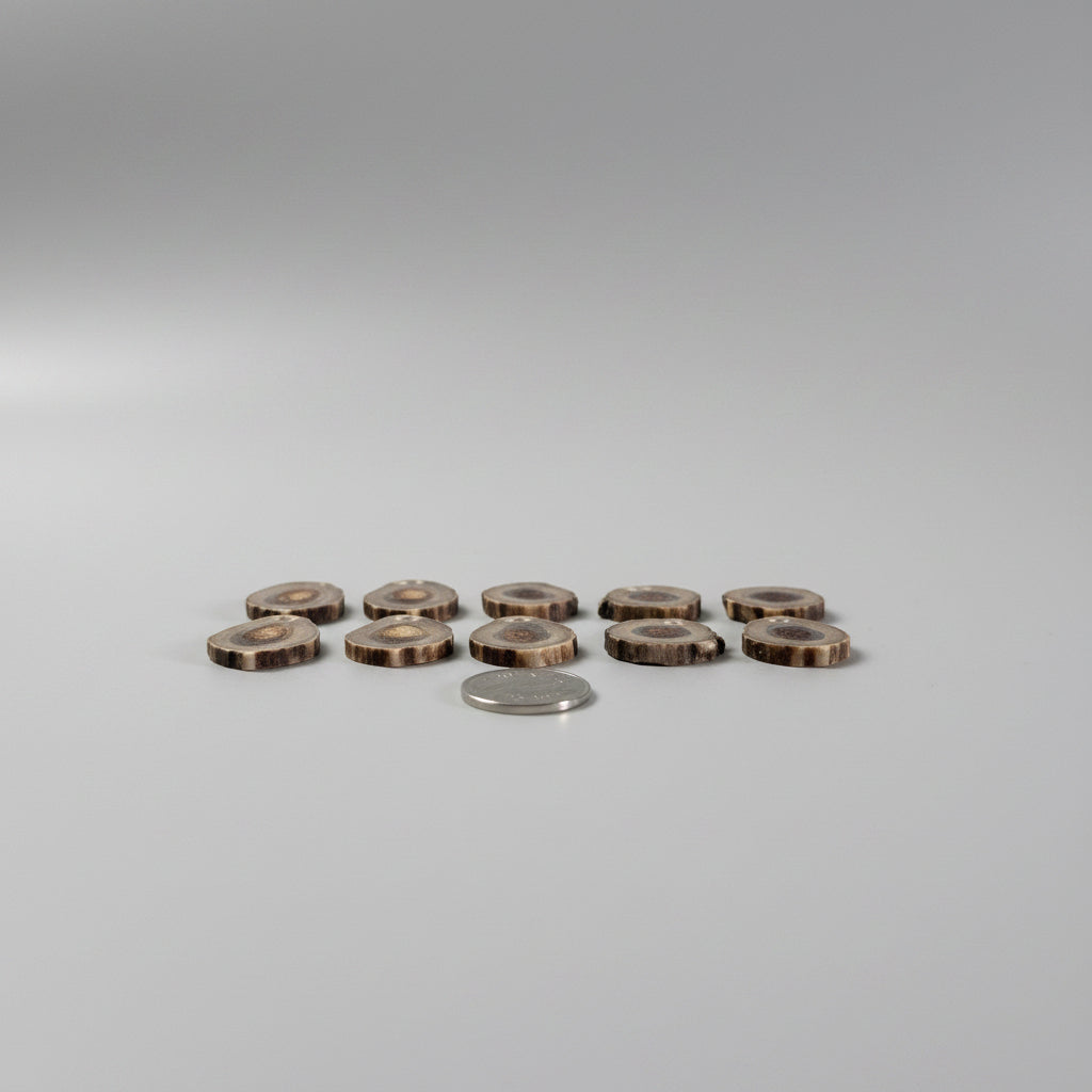 10 deer antler slices side view on a gray background