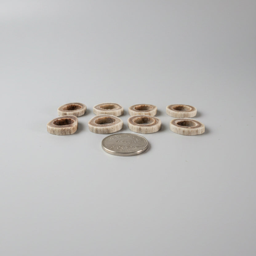 Side view of 8 deer antler slice, with a hole on the middle on a gray background