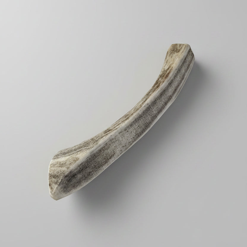 deer antler dog chew on a gray background