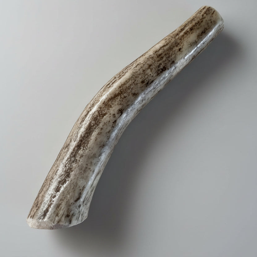 deer antler dog chew on a gray background