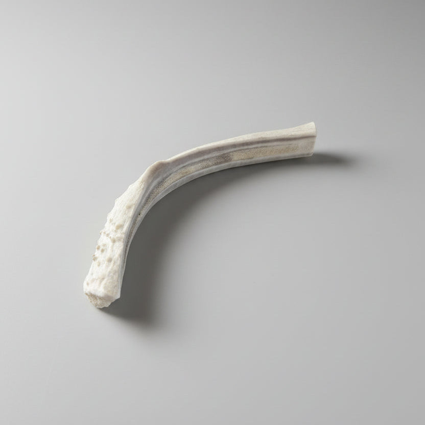 deer antler dog chew on a gray background