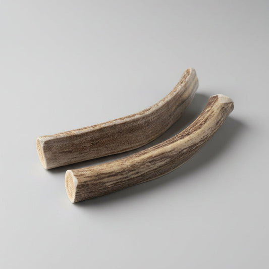 deer dog chew 6 to 7 in. 