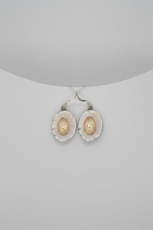 Natural deer antler earrings on a gray background