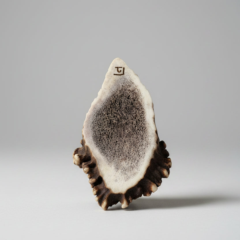 bottom view with the signature of the artist on a gray background