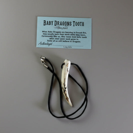 other side of the dragon tooth polished deer antler on a gray background