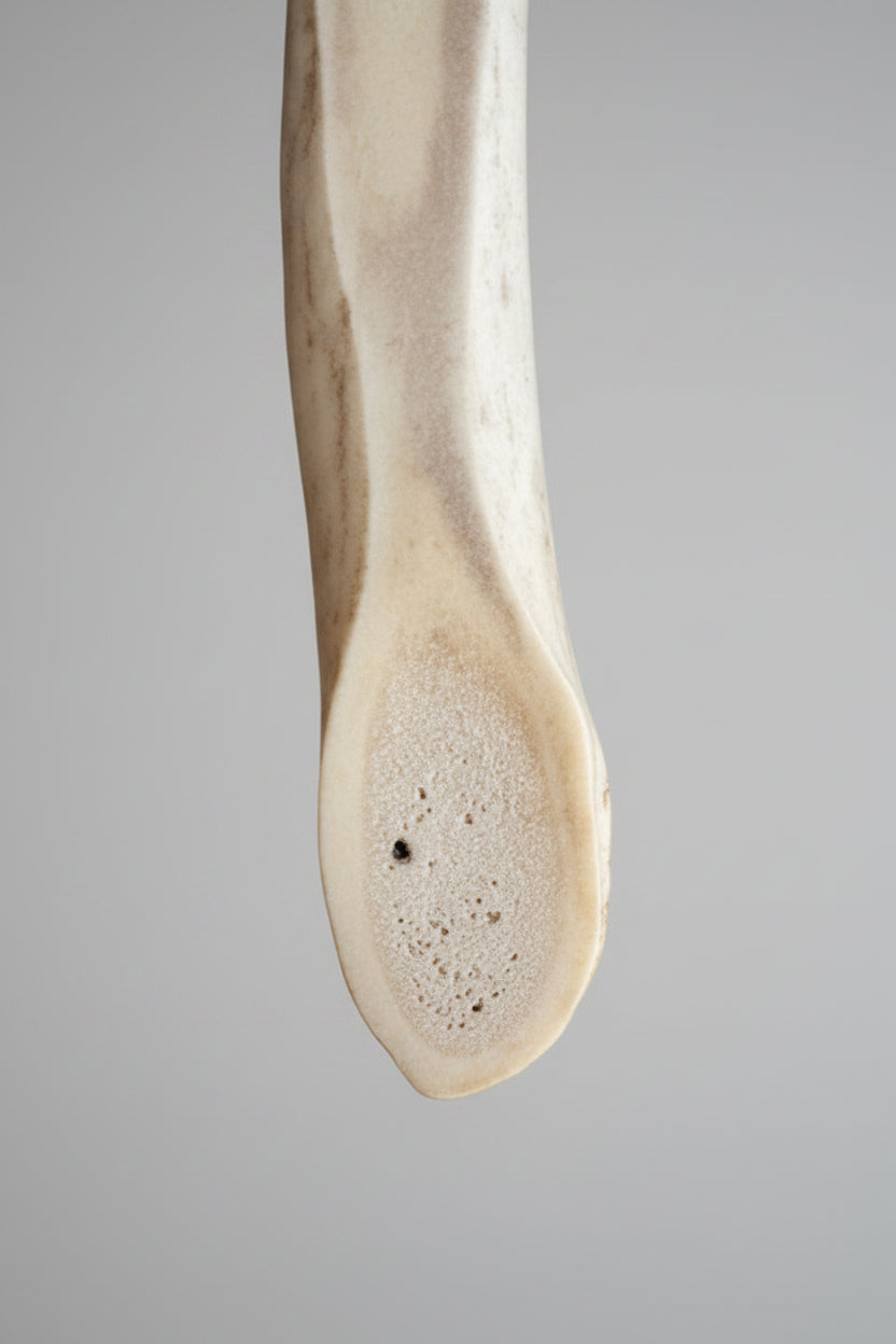 closed up view of the Natural deer antler aroma diffuser piece on a gray background