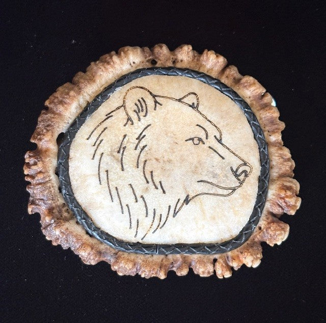 Elk antler belt buckle with a bear engraved and polished on a black background