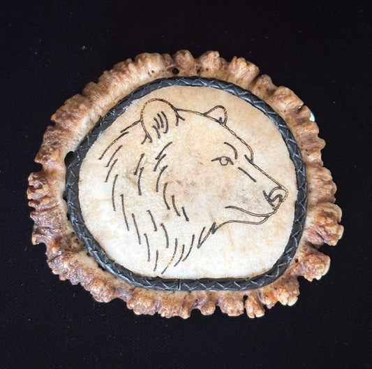 Elk antler belt buckle with a bear engraved and polished on a black background