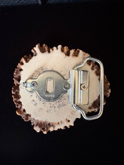 back view Elk antler belt buckle with a horse head inlaid an polished on a black background