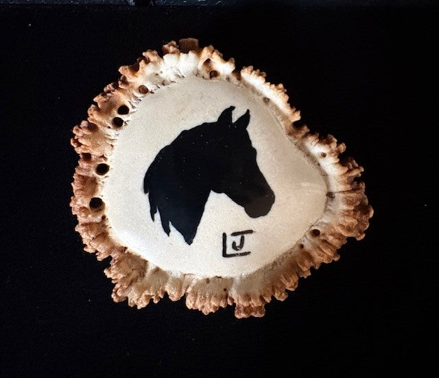 Elk antler belt buckle with a horse head inlaid an polished on a black background