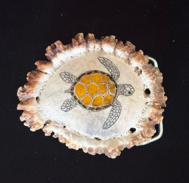 Elk antler belt buckle with a turtle inlaid and polished on a black background