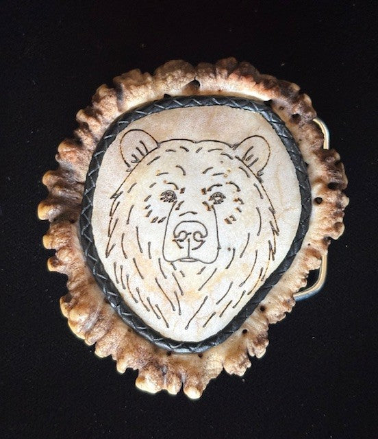 Elk antler belt buckle with a bear engraved and polished on a black background
