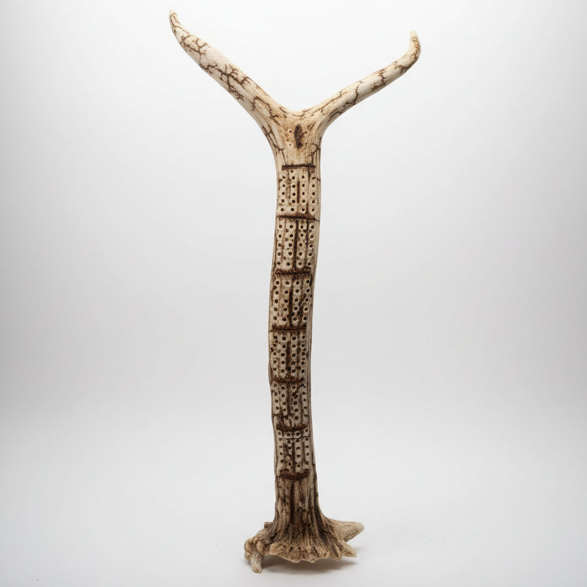 Elk antler cribbage board on a gray background
