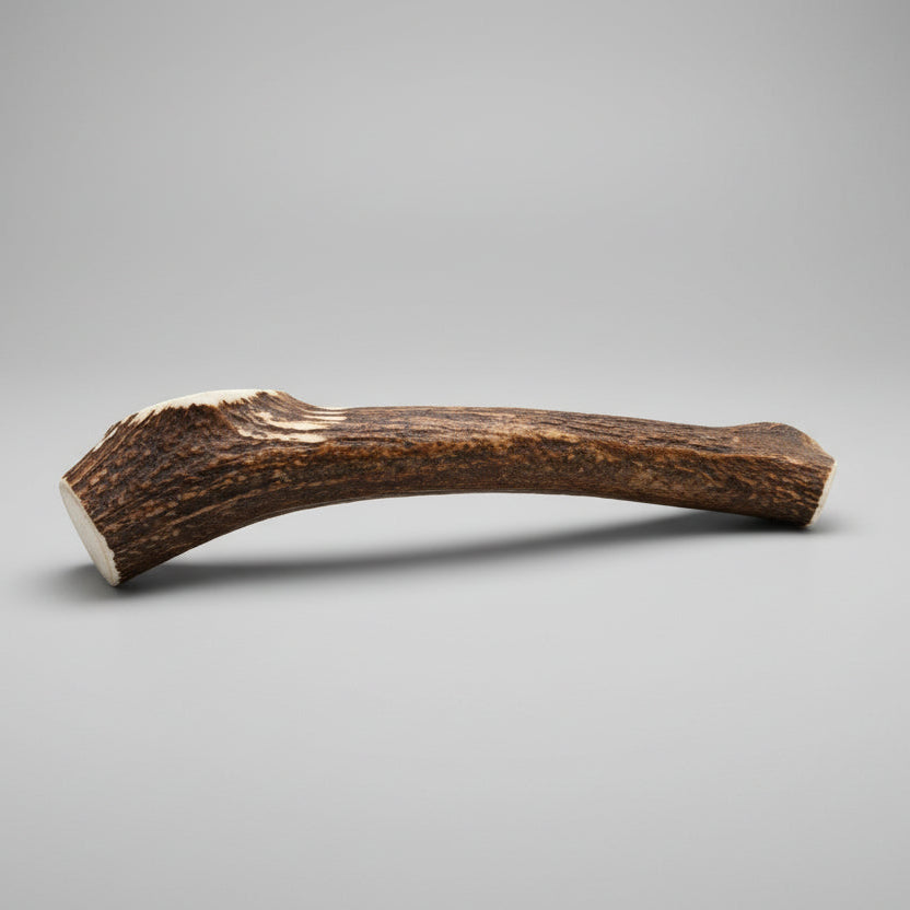 other side of the elk antler dog chew