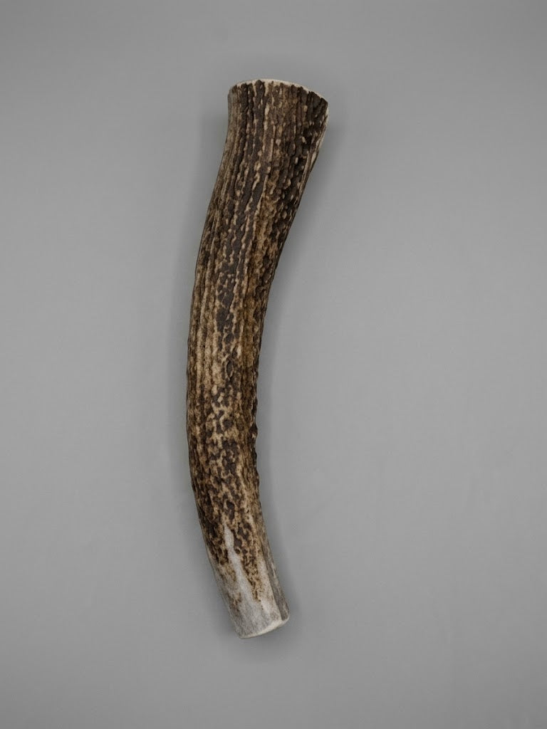 8 Inch Elk Antler Dog Chew Round - Natural Shed Elk Antler
