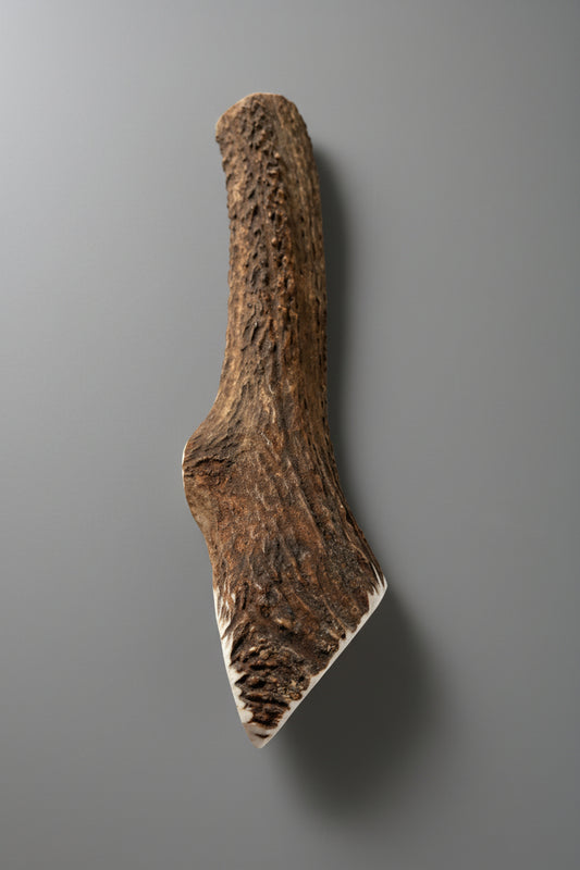 Split elk antler dog chew on a gray background