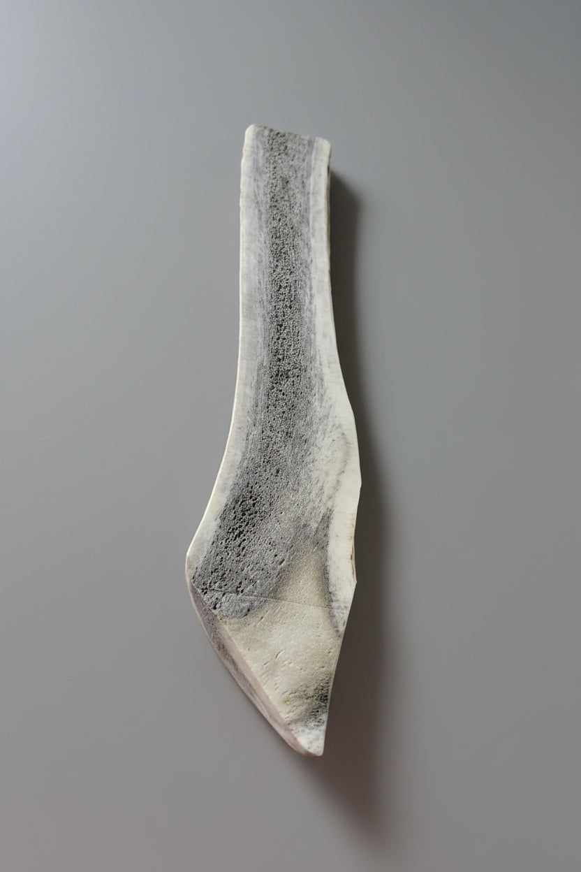 other side of split antler dog chew on a gray background