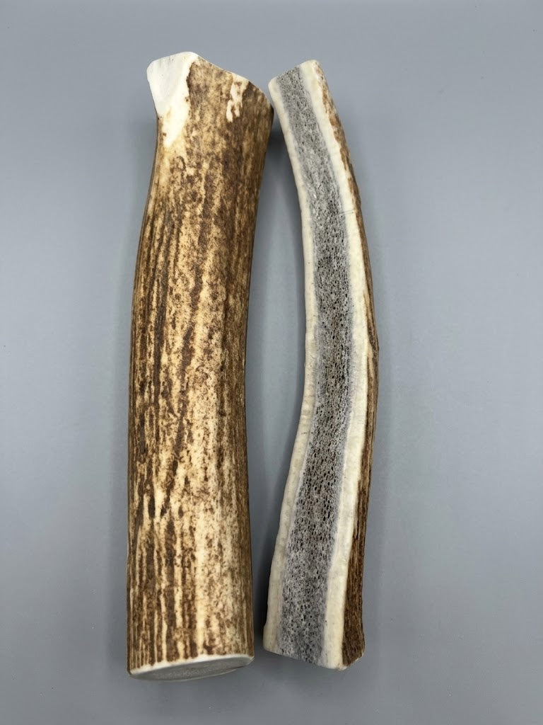 8 Inch Elk Antler Dog Chew Split pack of 2 - Natural Shed Elk Antler