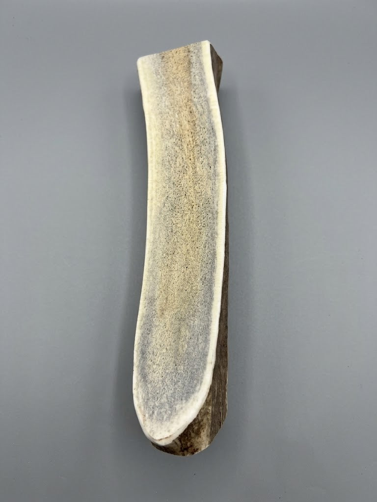 8 Inch Elk Antler Dog Chew Split - Natural Shed Elk Antler