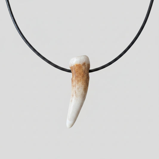 Elk antler tip necklace with aroma diffuser on a gray background 