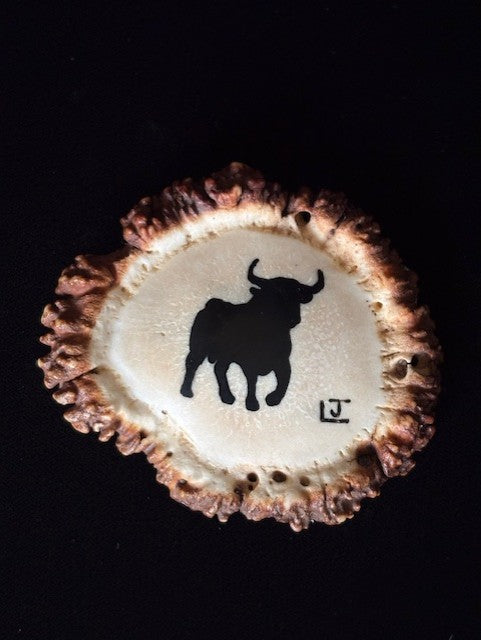 Elk antler belt buckle with a bull inlaid an polished on a black background