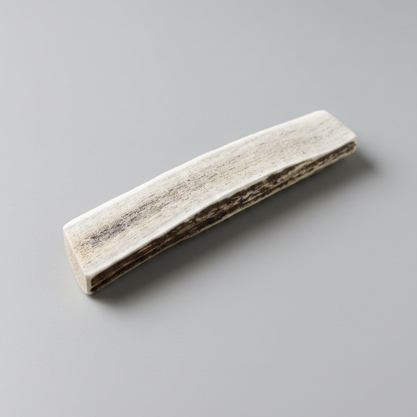 deer antler dog chew on a gray background