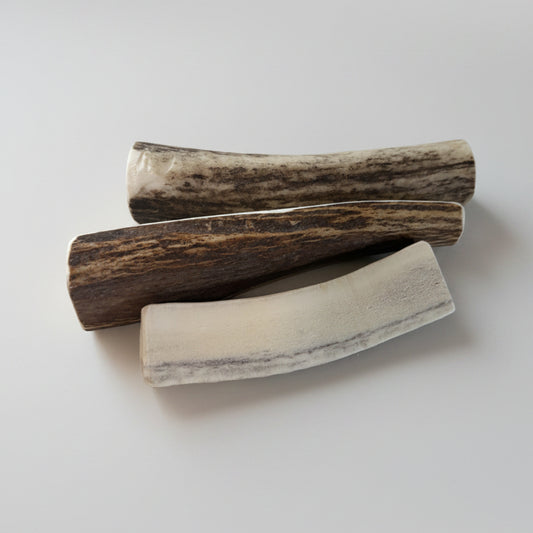 elk dog chews on a gray background