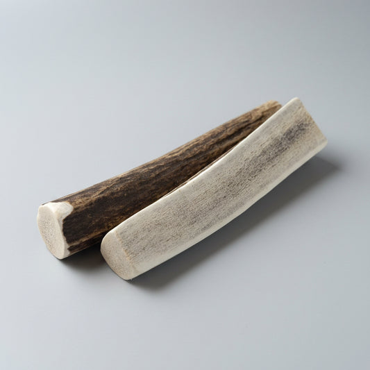 elk dog chews on a gray background