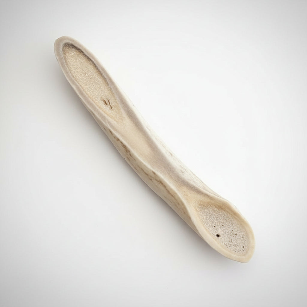 Natural deer antler aroma diffuser piece on a gray background