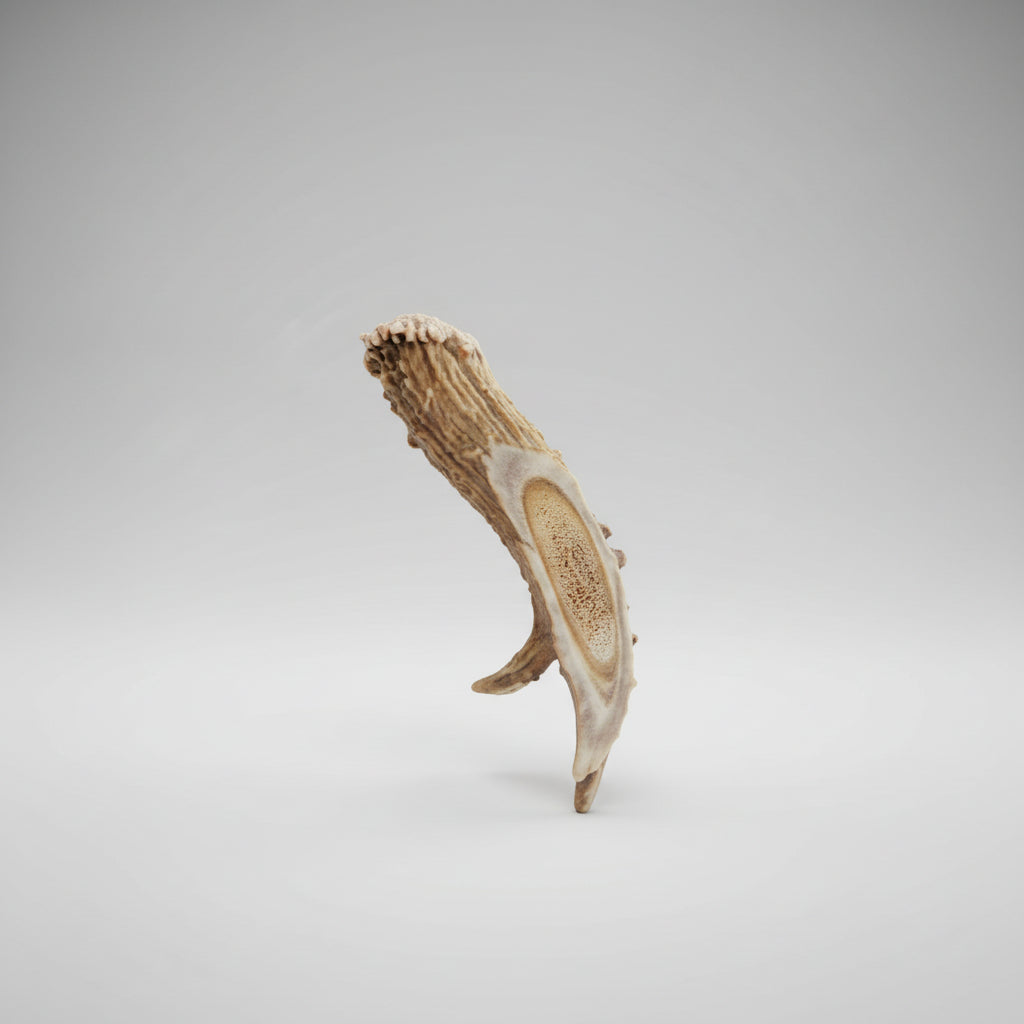 Top view of the Deer antler aroma diffuser piece on a gray background