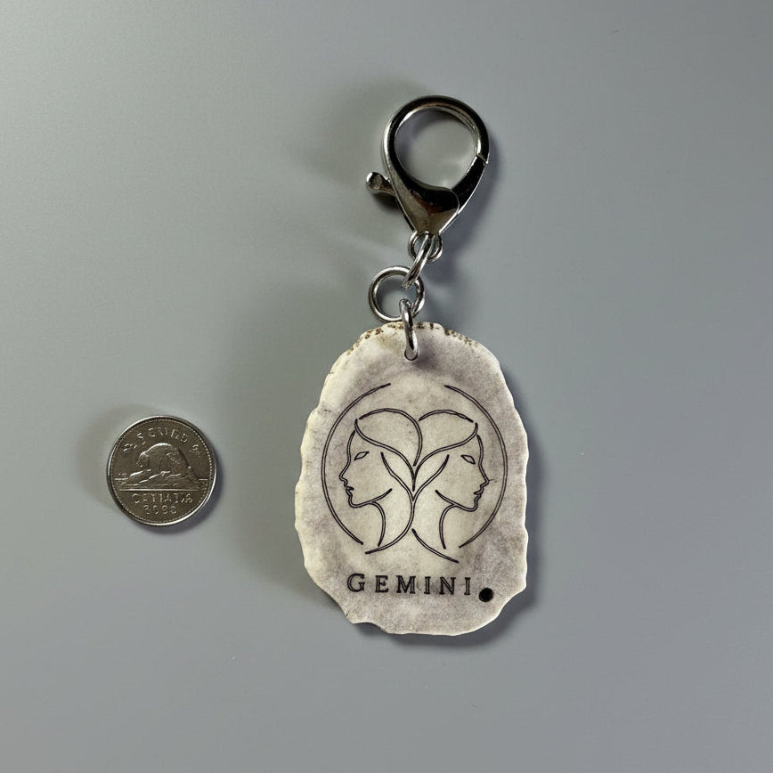 Other side of moose antler zodiac sign on a gray background