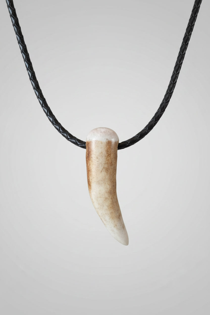 Deer antler tip pendant on a black leather cord on a gray background