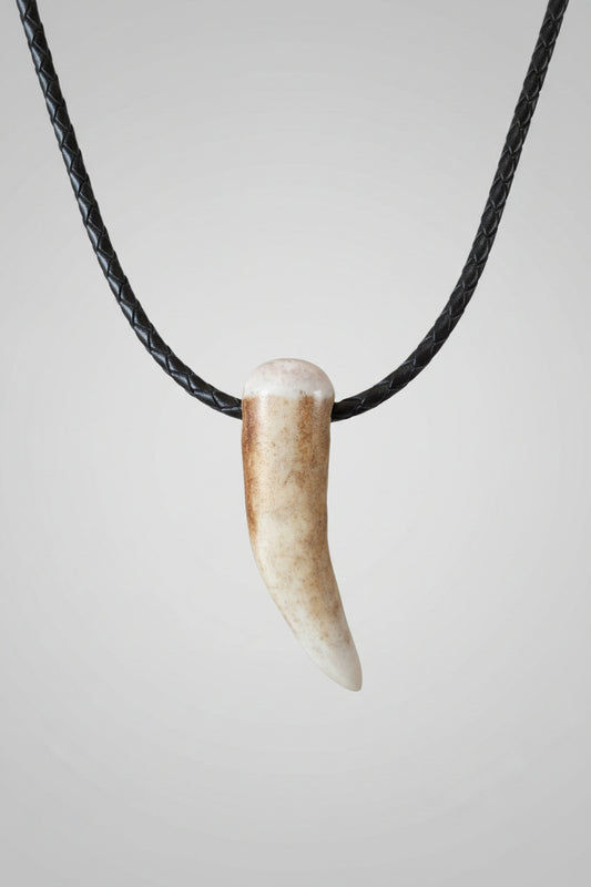 Deer antler tip pendant on a black leather cord on a gray background