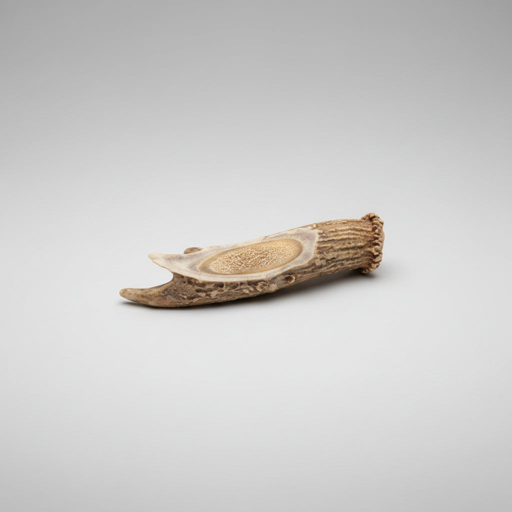 Side view of the Deer antler aroma diffuser piece on a gray background