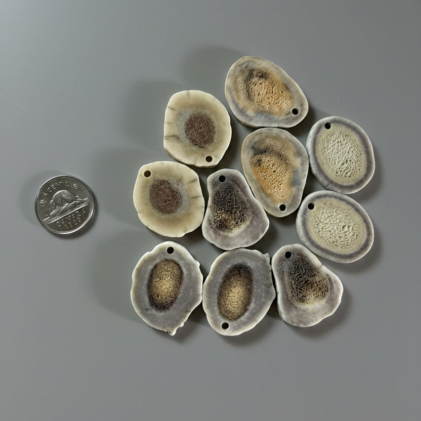 Mix deer antler slices with a small hole on a gray background