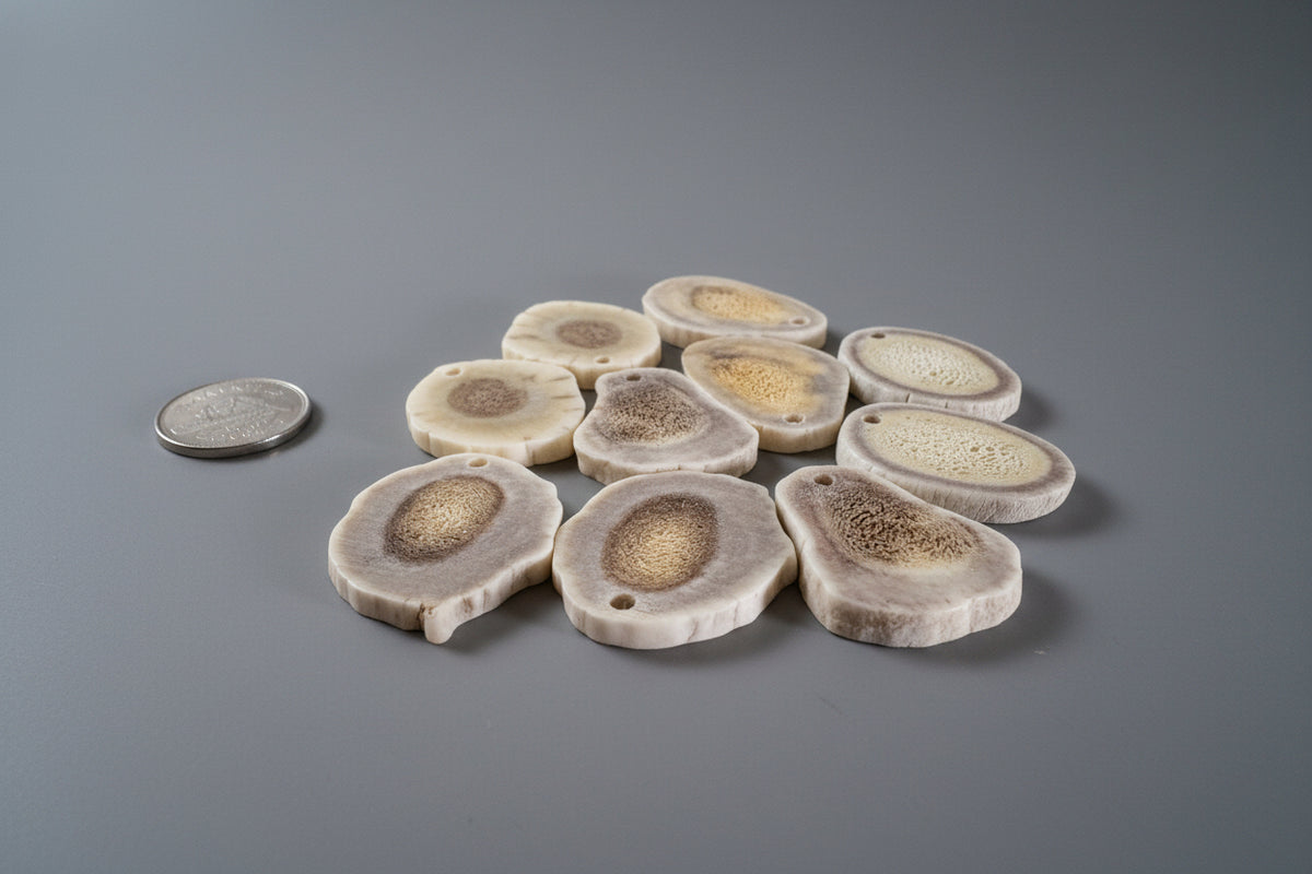 Side view of mix deer antler slices with a small hole on a gray bckground
