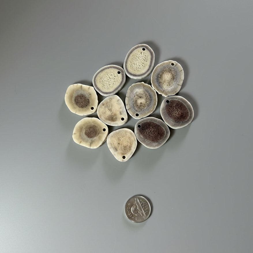 Mix deer antler slices with a small hole on a gray background
