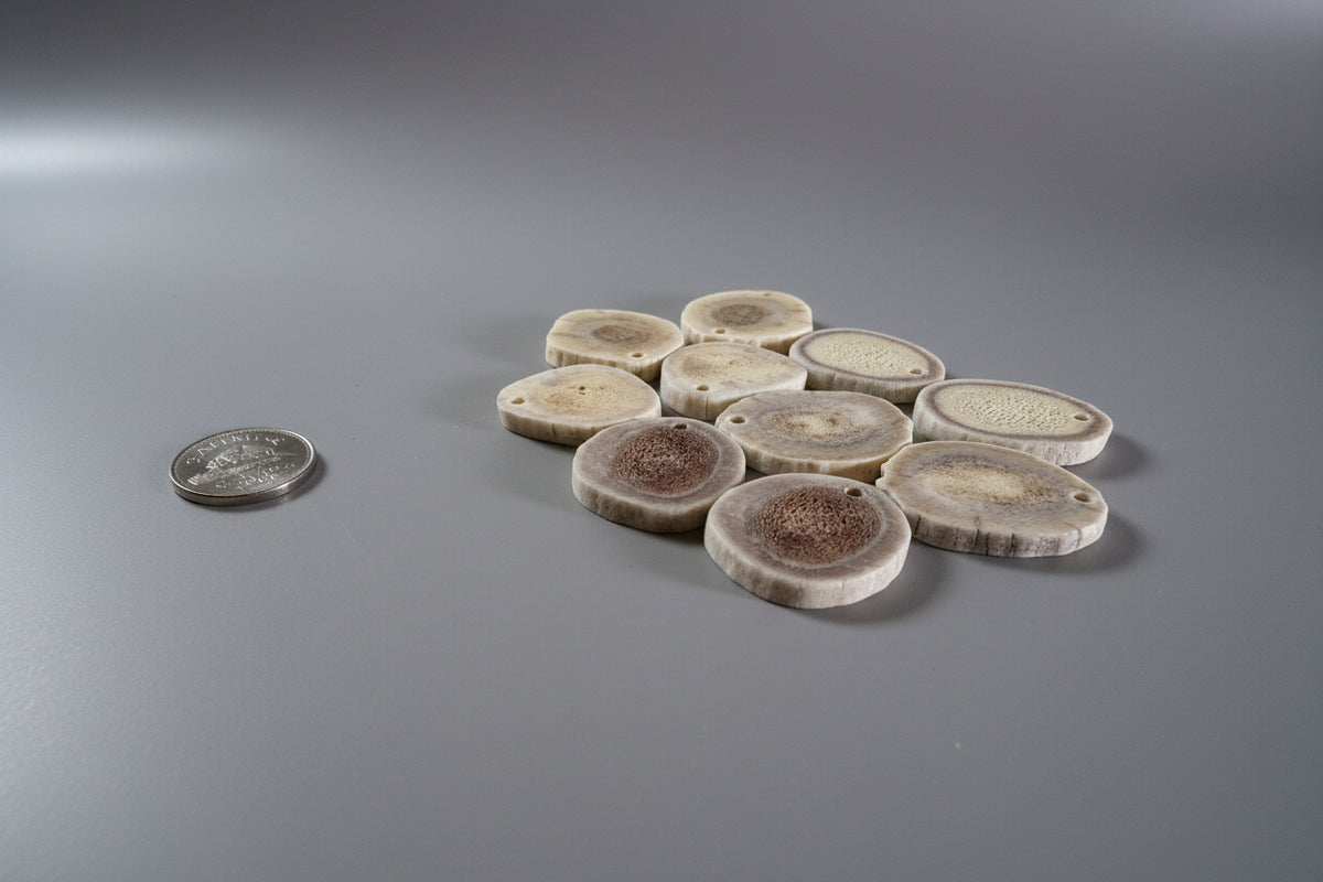 Side view of mix deer antler slices with a small hole on a gray background