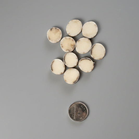 Moose antler slices on a gray background