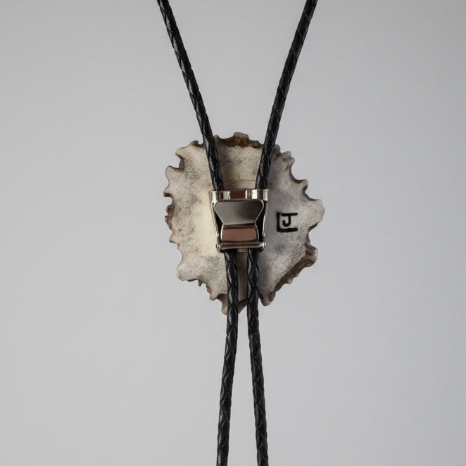 back view of engraved elk bolo tie on a moose antler cornet on a gray background