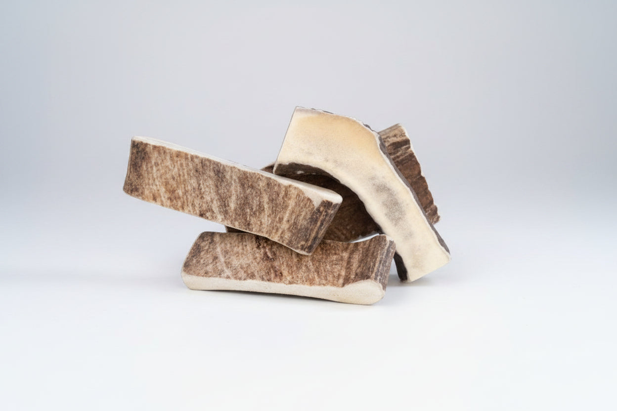 Moose Antler Dog Chew box  - Natural Shed Moose Antler for Aggressive Chewers