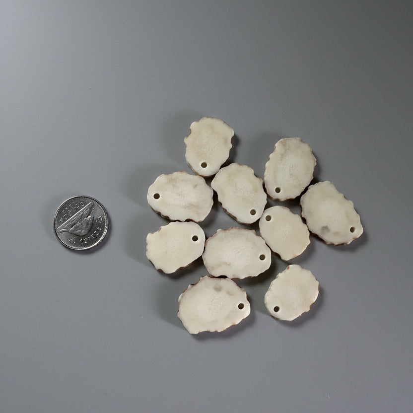 Moose antler slices with a small hold on a gray background