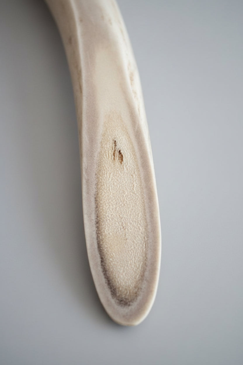closed up view of the Natural deer antler aroma diffuser piece on a gray background