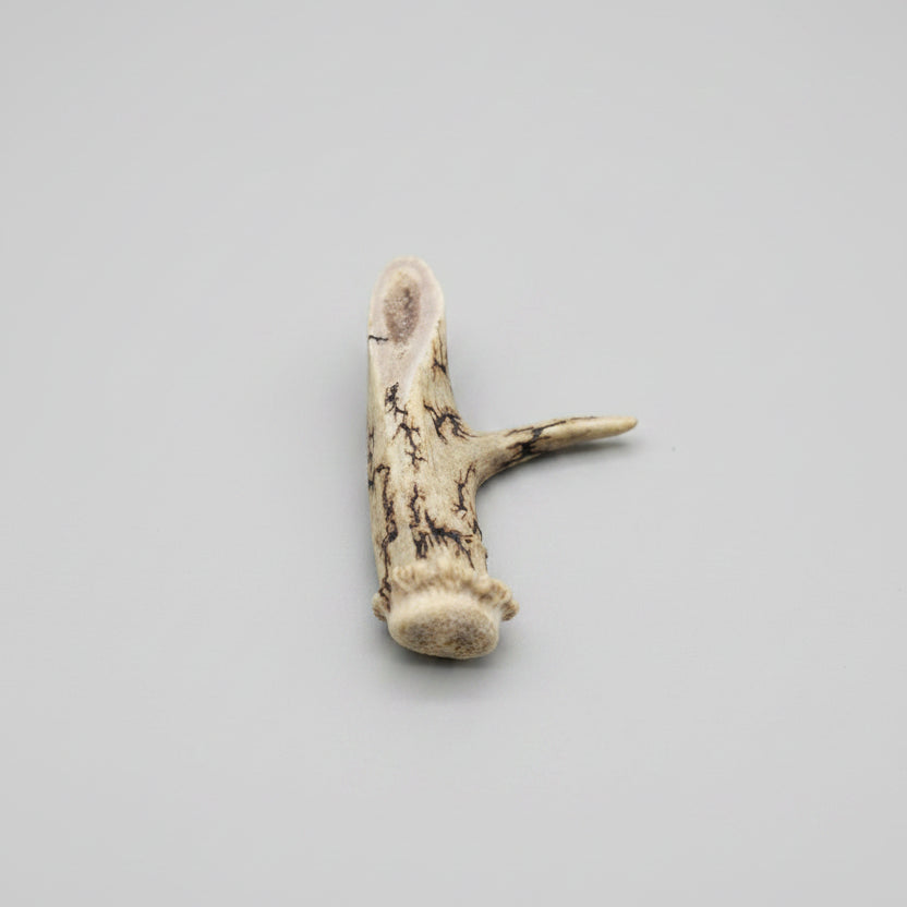 Top view of the Natural deer antler aroma diffuser piece with black strikes on a gray background