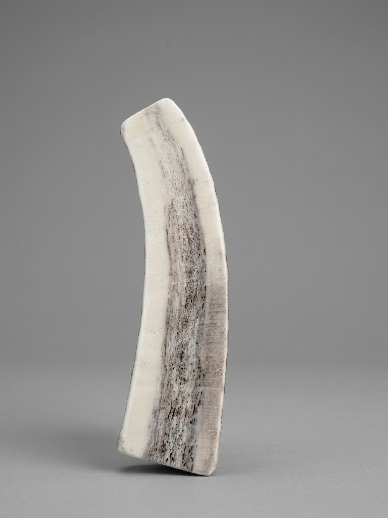 other side of elk antler dog chew on a gray background