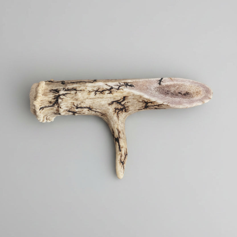 Natural deer antler aroma diffuser piece with black strikes on a gray background